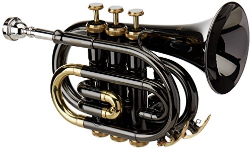 Saxofone Bb Pocket Mod. Pt 101K Black Case Roy Benson - Trompetes e cornetas - 