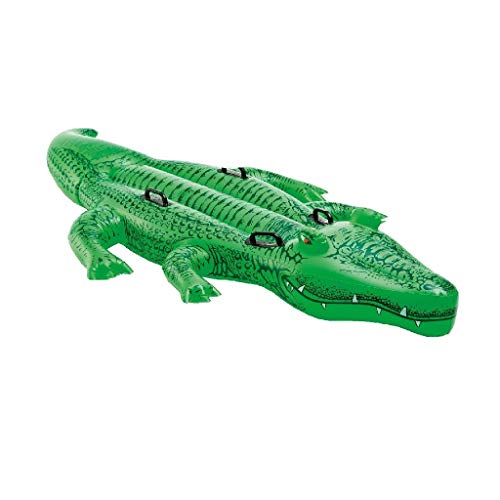 Piscina Insuflável INTEX Dory (Verde - 457x203cm) INTEX - Piscinas - insuflável, 457x203cm, verde