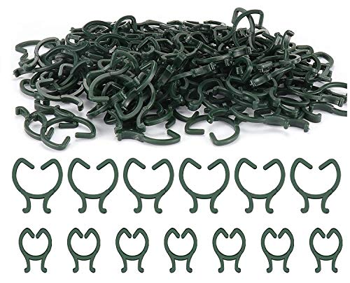 Clips de Vidro para Plantas KAHEIGN Verde KAHEIGN - Gaiolas e suportes para plantas - vidro, plantas, verde