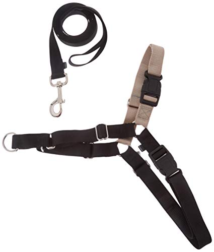 Peitoral para Cães NAYECO Easy Walk Preto (X-L) Petsafe - Coleiras e arnês para animais de estimação - cães, preto, x-l