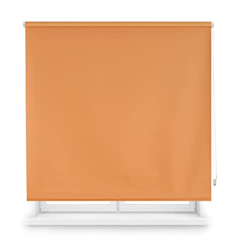 Estor de Rolo BLINDECOR Draco Castanho Escuro Blindecor - Persianas e cortinas - estor, rolo, castanho escuro