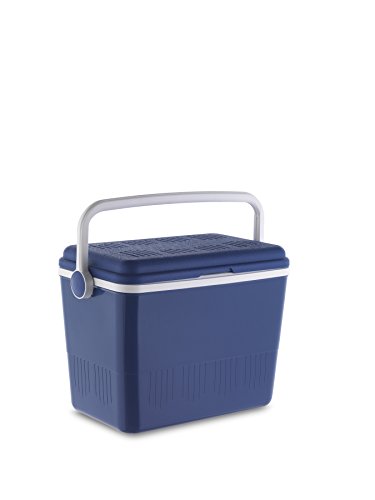 Caixa de Arrefecimento CAMPOS 14400 (42 L) Campos - Cozinha & sala de jantar - 4,2l, polipropileno, fecho hermético, pega ergonómica