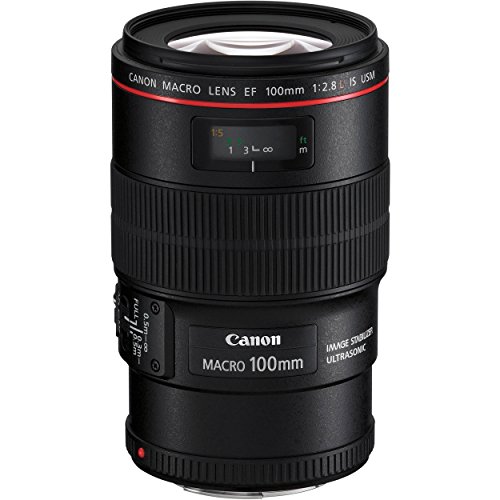 Objetiva CANON EF100MM F/2.8L MACRO IS USM Canon - Lentes de câmera - macro, distância focal mínima 10cm, estabilização de imagem