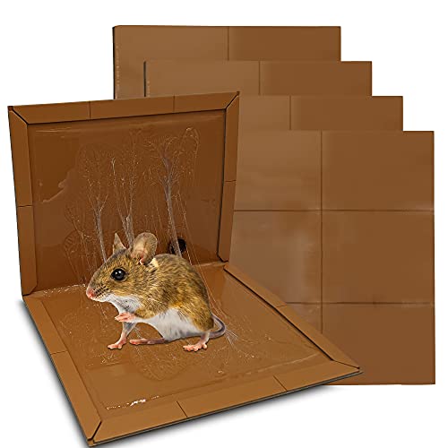 Adesivo de Rato e Rata 4 Unidades (Recondicionado Como Novo) Repulseo - Armadilhas de controle de pragas - adesivo, rato, rata, 4 unidades