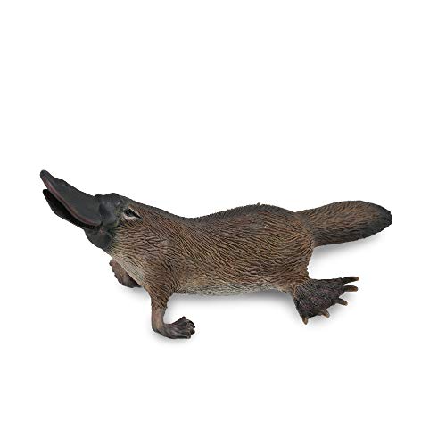 Figura de Brincar COLLECTA Ornitorríncio (Idade Mínima Recomendada: 3 anos) Collecta - Bonecos de ação e brinquedo - ornitorrinco, plástico macio, flexível, bumbão