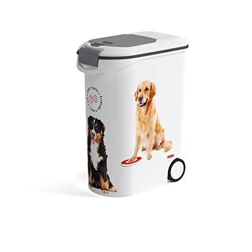 Comedouro para Cão Curver (54L - Aço Inoxidável) Curver - Recipientes de comida para animais de estimação - aço inoxidável, 54L, curver