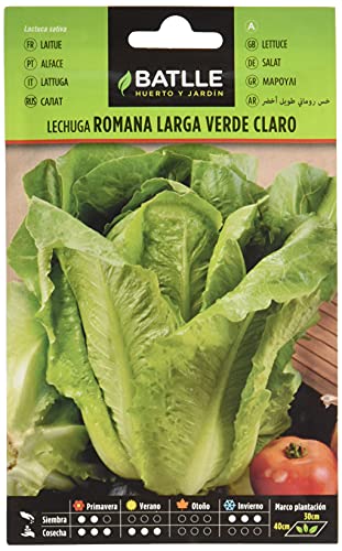 Sementes de Batateira LECHUGA ROMANA Larga Verde BATLLE - Lâmpadas de plantas e flores - sementeira, 10 dias, 200g, -20ºC