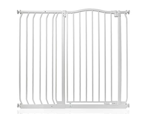 Porta de Segurança para Cães BETTACARE (Branco) Bettacare - Produtos para animais de estimação - tecnologia Stay Open, fecho automático, fácil de instalar