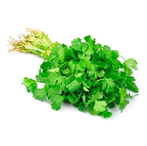 Sementes de Alecrim Comum (Perejil) - 100 g DECOALIVE - Sementes - alecrim, perejil, 100 g