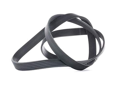 Correia de Máquina de Lavar Roupa CONTINENTAL EDISON 6PK1564 CONTITECH - Peças do motor do veículo automóvel - transmissão de par, adesão, alternadores, ventiladores