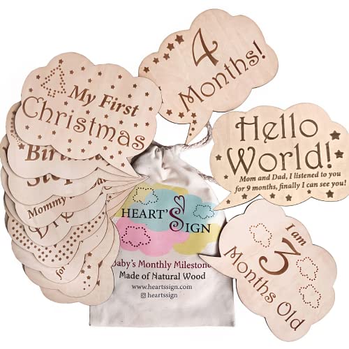 Kit de Artesanato HEART'S SIGN 24 Designs of Baby Milestone Cards MaxDigital - Cobertores - kit, artesanato, madeira, desenhos, placas, bolsa, suporte