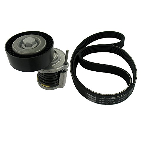 Kit de Acessórios para Corrente de Transmissão SKF VKMA 31058 SKF - Peças do motor do veículo automóvel - conjunto, fólio, 3 m