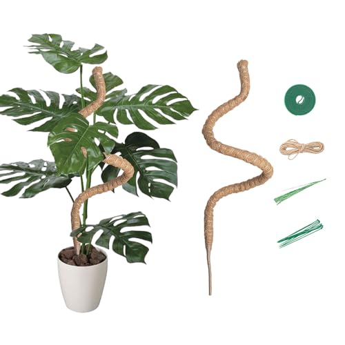 Suporte para Plantas Trepadeiras MCBAZEL Mcbazel - Gaiolas e suportes para plantas - fibra de coco, plantas trepadoras, biodegradável