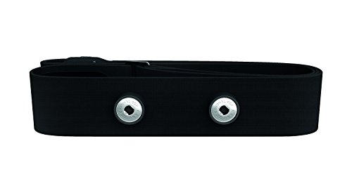 Correia para Trela POLAR Unisex Soft Strap Preto (M-XL) Polar - Acessórios para monitor de atividades - elástico, unisexo, preto, m-xl