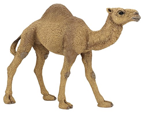 Figuras de Brincar PAPO Animais Selvagens (Idade Mínima Recomendada: 3 anos) Papo - Bonecos de ação e brinquedo - animais selvagens, dromedário, pintados à mão, pendurável