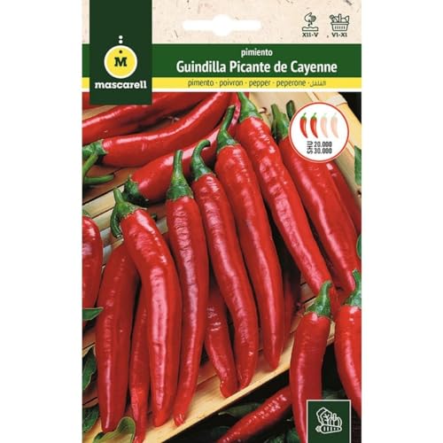 Sementes de Pimenta Cayena (Capsicum annuum) MASCARELL SEMILLAS Mascarell Semillas, S.L. - Sementes - pimenta cayena, mascarel semillas, sementes, capsicum annuum
