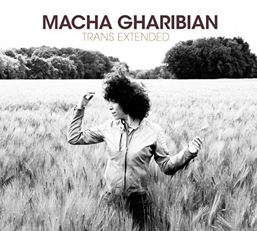 Vinil Trans Extended - Trans Extended (1LP) JAZZ VILLAGE - Música e gravações de som - vinil, trans extended, LP