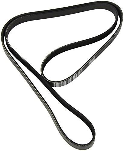 Corrente de Cabo para Trela DAYCO 6PK1710 (Poli-V) Dayco - Trelas para animais de estimação - poli-v, 170 cm, preto e branco