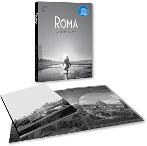 Blu-Ray RomA Ed Especial Coleccionista (Edição em Espanhol) A CONTRACORRIENTE - Dvds e vídeos - edição em espanhol, livro, 3 oscar, 2 globos de ouro