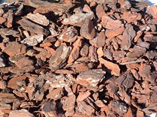 Saco para Substrato de Plantas SUBSTRAPLANT Cortiça de Pinho Natural (50 L) SUBSTRAPLANT - Mulch - cortiça de pinho, natural, 50 L