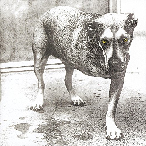 CD Alice In Chains - Alice In Chains (1 CDs) Columbia - Música e gravações de som - cd, alice in chains, música