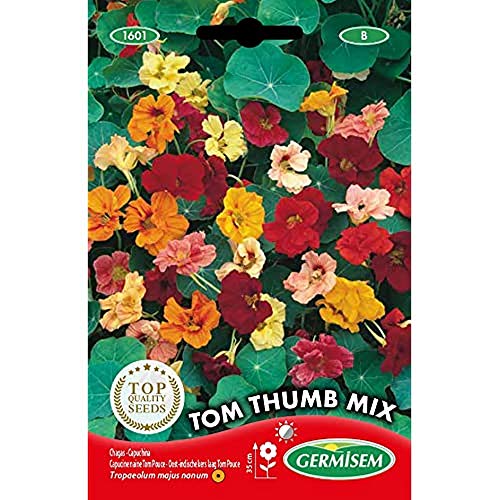 Sementes de Plantas Ornamentais GERMISEM Tom Thumb Mix (Nasturtium) GERMISEM - Sementes - ornamentais, tom thumb mix, nasturtium