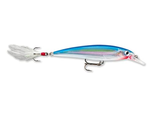 Lure RAPALA X Rap Lures (Multicor - 10 cm) Rapala - Isca e anzol - multicor, 10 cm