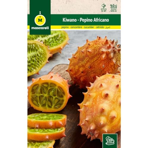 Sementes de Jardim MASCARELL Kiwano (Pepino Africano) Mascarell Semillas, S.L. - Sementes - kiwano, pepino africano