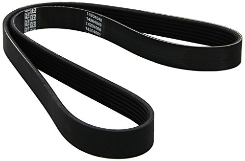 Correia de Transmissão DAYCO 6PK1050 Poli-V Dayco - Peças do motor do veículo automóvel - correia transmissão, dayco, 6pk1050, poli-v, comprimento, espesor