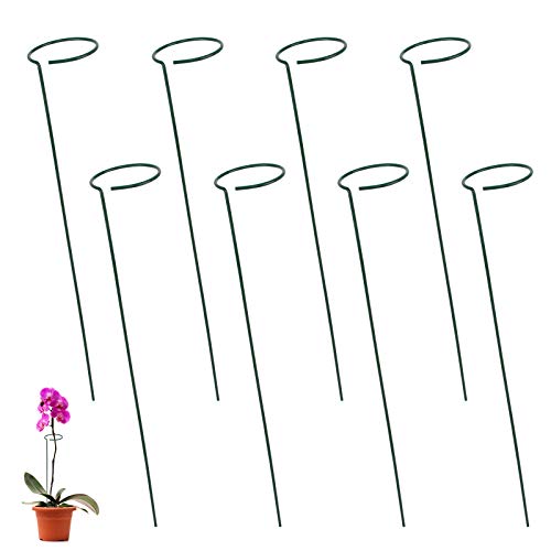 Suporte para Plantas JUBAOPEN 8 PCS Estaca de Soporte de Planta Jubaopen - Gaiolas e suportes para plantas - suporte, plantas, jubaopen, estaca