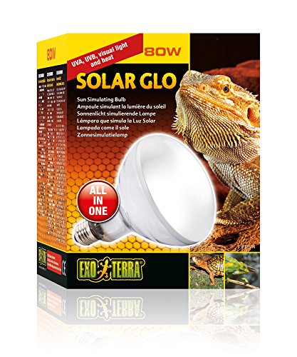 Lâmpada de Vapor para Réptil EXO TERRA Solar Glo Vapor de Mercúrio 80W EXO TERRA - Lâmpadas - vapor de mercúrio, 80W, sol natural, reptil