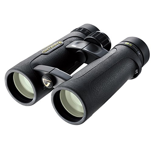 Binóculos VANGUARD ENDEAVOR EDII (10x) VANGUARD - Binóculos - binóculos, vanguard endeavour edii, 10x42, óticas hoya ed ii, prisma de techo bk-7, recortes negros, pupila de saída 3.1 mm