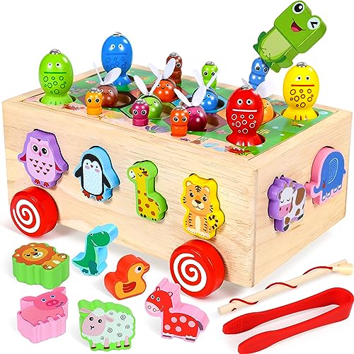 Jogo Didático COOLJOY (Idade minima recomendada: 12 meses) SUNNY MHYT SL - Brinquedos - didático, 12 meses