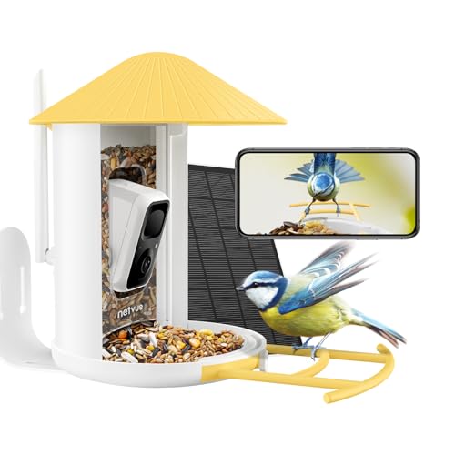 Câmara de observação para pássaros NETVIEW NETVUE - Alimentadores de pássaros - câmara, observação, pássaros