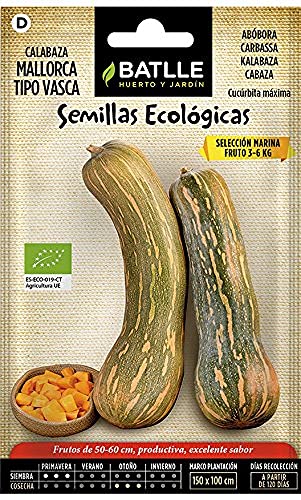 Sementes de Cabaça Laranja Batalha (Caixa 2.5 Kg) BATLLE - Sementes - cabaça, laranja, 2.5 kg