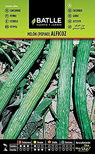 Sementes de Pepino Alficoz Melão Seringa 1000 Unidades BATTLE SEMILLAS BATLLE - Lâmpadas de plantas e flores - pepino, alficoz, melão, seringa