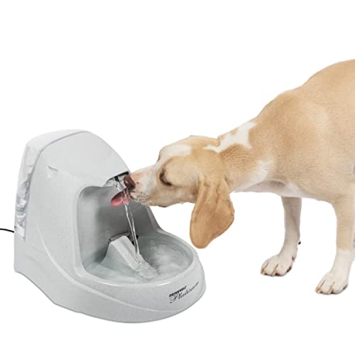Bebedouro para Cão PETSAFE (Castanho - 5 L) DRINKWELL - Tigelas, comedouros e bebedouros para animais de estimação - bebedouro, cão, 5l