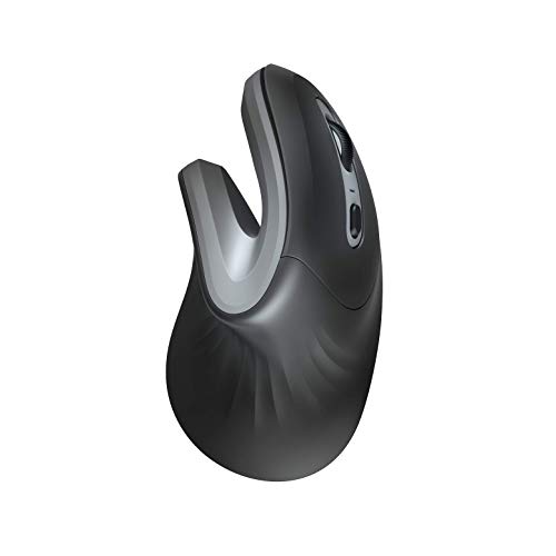 Rato TRUST Verro (Wireless - Ótico - 800 dpi - Preto) Trust - Ratos e trackballs - wireless, óptico, 800 dpi, preto