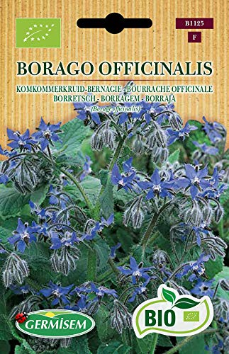 Suplemento Alimentar GERMISEM (Vermelho) Sementes de Borragem (Borracha) 1500 Mg GERMISEM - Sementes - suplemento alimentar, germisen, vermelho, sementes de borragem, borracha