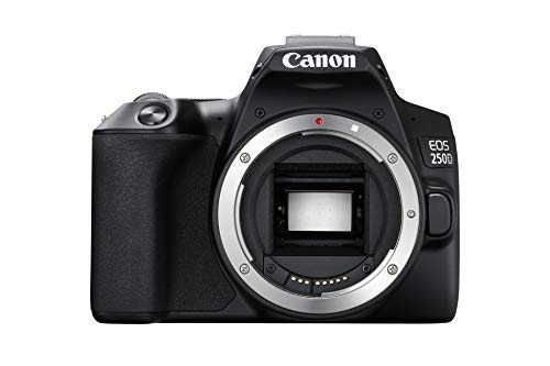 Máquina Fotográfica Reflex CANON EOS 250D (24.1 MP - Sensor: APS-C - ISO: 100 a 25600) Canon - Câmeras digitais - 24.1 MP, APS-C, wi-fi, full hd
