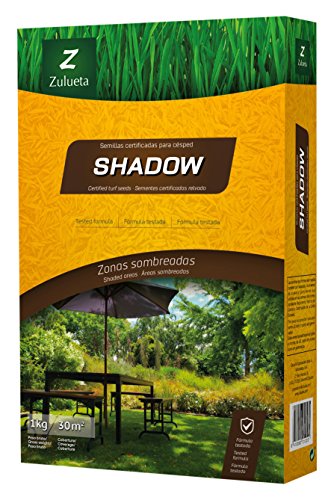 Sementes de Gramíneas com Sombras 1Kg SHADOW ZULUETA Zulueta - Sementes - gramíneas, sombras, 1kg, Shadow