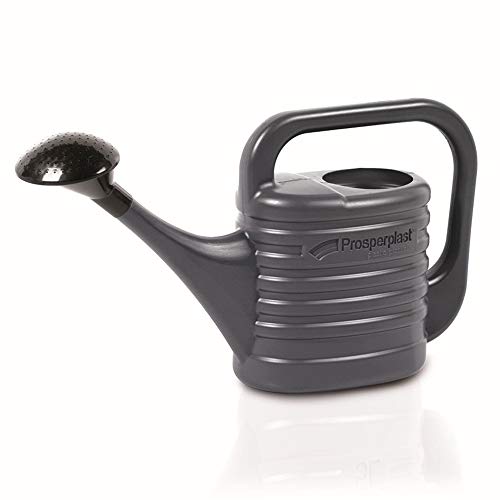 Regador PROSPERPLAST Watering Can Zebra 2l Prosperplast - Ferramentas de jardinagem - 2L, zebra, regador