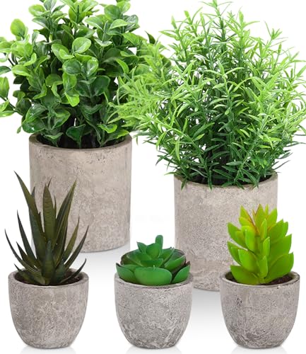 Plantas Artificially Decorative 5 Pieces in Pot SOBEAU - Casa e jardim - artificial, 5 peças, pote, durável