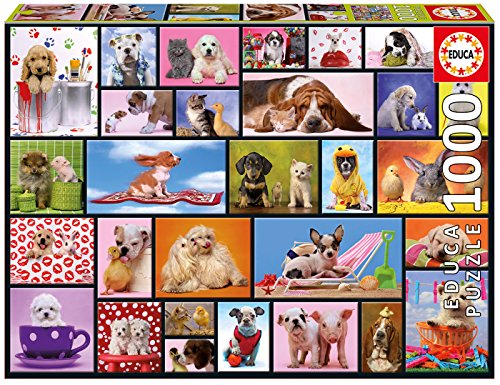 Puzzle EDUCA Moments Partagés (Idade Mínima Recomendada: 14 anos) EDUCA - Quebra-cabeças de encaixar - puzzle, moments partagés, idade mínima 14 anos