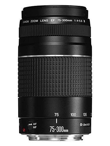 Objetiva CANON EF 75-300MM F/4-5.6 III USM Canon - Lentes de câmera - teleobjetiva, canon ef, 75-300mm, f/4-5.6 iii usm