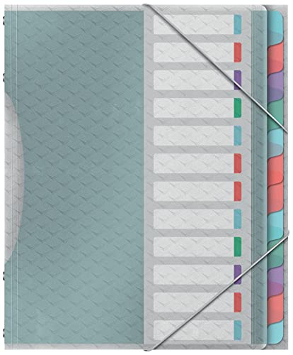 Separadores de Arquivo ESSELTE Index (Multicor) Esselte - Pastas de arquivo - multicor, polipropileno, resistente, fácil de utilizar