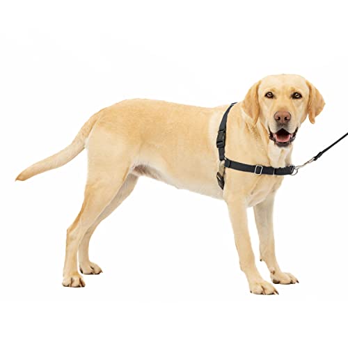Peitoral para Cães EASY WALK (Preto - Tamanho: L) Petsafe - Coleiras e arnês para animais de estimação - preto, tamanho L