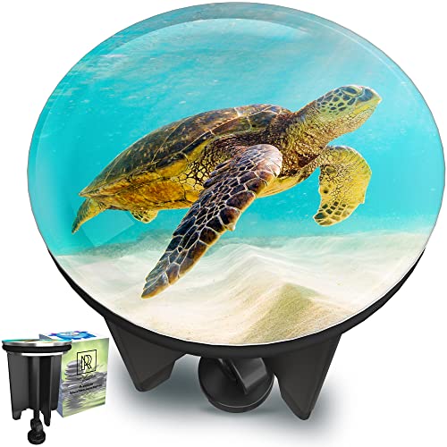 Tampa Premium para Lavatório Turtle 40 Mm M. ROSENFELD Germany - Tampas e peneiras de drenagem - 40 mm, altura ajustável, latão macizo, junta ajustada