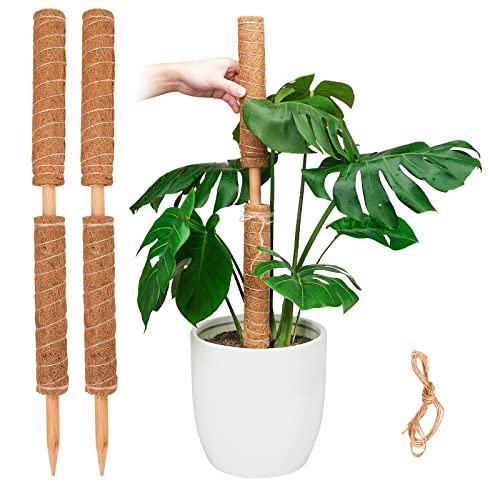 Suporte para Plantas Trepadeiras Pisol 4 Unidades Pisol - Gaiolas e suportes para plantas - madeira, poliéster, 15,7 cm x 30 cm, 2 kg