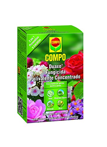 Compo Duaxo Fungicida Polivalente Concentrado 100Ml Compo - Jardinagem - fungicida, polivalente, concentrado
